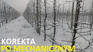 Sadowniczy Vlog #2/2022 - Korekta ręczna po cięciu mechanicznym