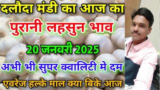 दलौदा मंडी आज का लहसुन का भाव 20 जनवरी 2025 |daloda mandi ka lahsun bhav |lahsun ka bhav