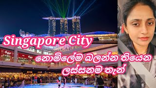 Singapore City එකේ අරුම පුදුම ලස්සන😍/Singapore City Tour Sinhala/සිංගප්පූරුවේ ලස්සනම තැන්