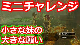 [ゼルダの伝説]ミニチャレンジ「小さな妹の大きな願い」をコンプリートした。