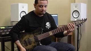 Dipes Karki - WIP | ST Custom Guitars - MINOTAUR 7 | ST Pickups - 'The Hyena'