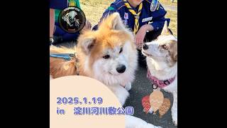 2025年1月21日淀川河川敷公園で遊んだよ🐕💗