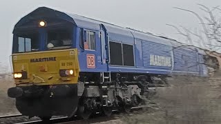 Maritime class 66090 in Somerset 18/01/25