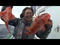 【釣り百景】 282 ヤリイカ・寒サバ・オニカサゴ 千葉県外房の高級魚を釣る