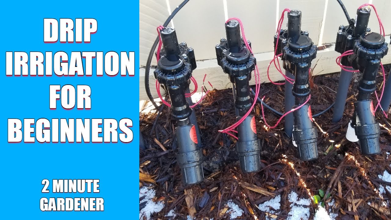 Drip Irrigation For Beginners - YouTube