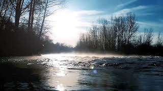 Sleep Nature River Sound And Bird Singing Relaxing