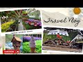 Cameron Lavender Garden Travel Vlog.