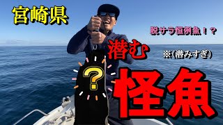 宮崎県に潜む怪魚！！（潜みすぎ）目標の単日2万円達成なるか！？