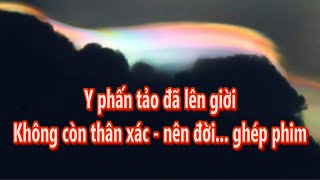 Y phấn tảo đã lên giời ~ chẳng còn thân xác, nên đời ghép phim | CHUYỆN TÂM LINH KHÔNG ĐÙA ĐƯỢC ĐÂU