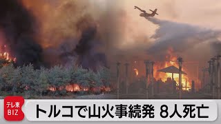 トルコなど地中海周辺国で山火事続発　ブラジルでは記録的寒波（2021年8月2日）