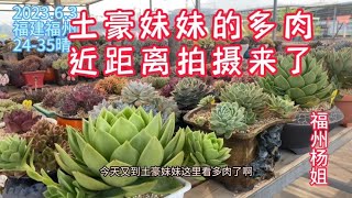 福州杨姐：土豪妹妹楼顶多肉近距离拍摄来了，好多叫不出名字，大家来补充！｜养多肉