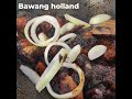 AYAM KICAP BEREMPAH AWANGBRAND #2022