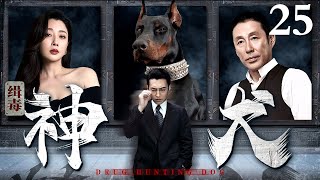 【2024电视剧】缉毒神犬 25｜缉毒神犬白白屡立大功成毒枭眼中钉，识破犯罪计谋截获上百斤毒品(涉案/反毒)