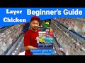 Beginners guide for RTL or Layer Chicken