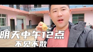 半仙的小店第二场直播带货，明天中午十二点准时开播，不见不散【半仙游记】