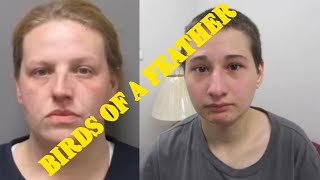 BRI ATTACKS, DISCREDITS & TRIES TO INSULT other content creators reporting ON HER ARREST