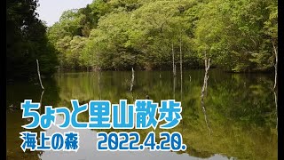 ちょっと里山散歩　海上の森