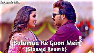 Balamua Ke Gaon Mein : Slowed x Reverb lofi Bhojpuri songs #Pawan Singh# Indian lofi amr