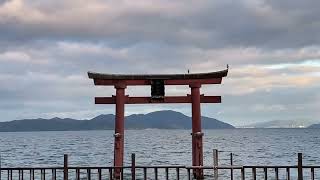 『琵琶湖の中の鳥居！？⛩️鳥は何羽でしょう⁇』(滋賀県白鬚神社)