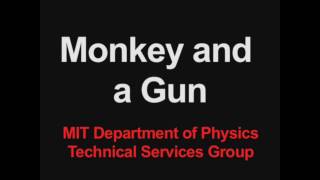 MIT Physics Demo: Monkey and Gun