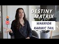 KARMIC TAIL 12-19-7. Educational video on the Destiny Matrix