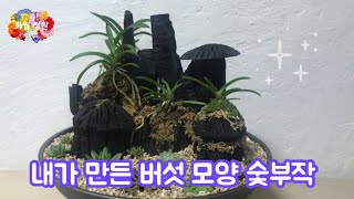 숯부작  🇰🇷 내가 만든 버섯모양 숯부작에 소엽풍란을 심어보았어요!