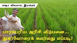 நெல் சாகுபடி_Paddy cultivation