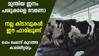 ഈ ഫാമില്‍ കിടാവുകളെ പരിപാലിക്കുന്നത് പ്രത്യേക രീതിയില്‍ #dairy_farm #dairyfarming