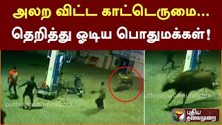 அலற விட்ட காட்டெருமை... தெறித்து ஓடிய பொதுமக்கள்! | PTT