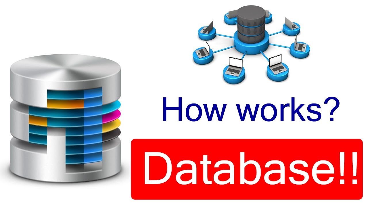 How Database Works | Complete Database Information - YouTube