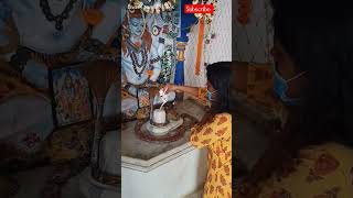 Shivratri | Mahadev | Shiva | Shiv shambhu #mahasibaratri