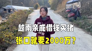 给越南丈母娘转钱买羊，亲戚们得知后来借钱，张口就是2000万？