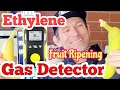 Ethylene Gas Detector (for Fruit Produce Ripening)