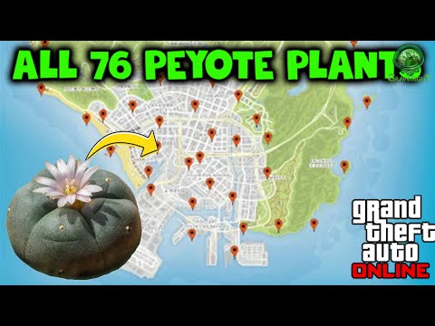 GTA Online All 76 Peyote Plant Locations – 5000 Rp Per Plant