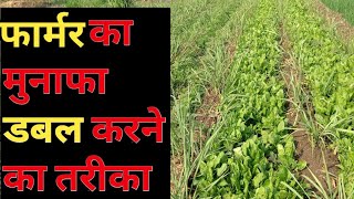 फार्मर का मुनाफा बढ़ाने का तरीक़ा । Double crops farming । Farmer।