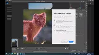 Introduction to Adobe Camera Raw