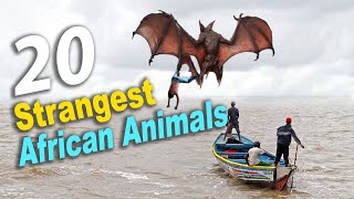 20 Strangest Animals Found in Africa