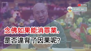 念佛如果能消罪业，是否违背了因果呢？【大安法师开示】