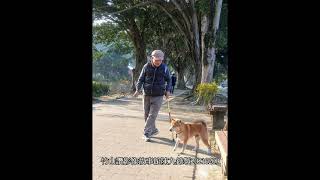 《樂齡者與忠狗》在台灣南投竹山綠色廊道！