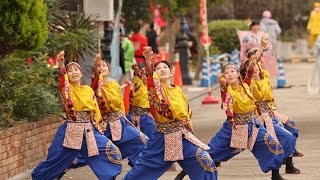 おどるんや〜第19回紀州よさこい祭り〜から　〜紀州みかんちゃん〜　「海宮灼〜Kaguya〜」