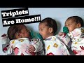 Bray Triplets are Finally Home from the NICU!