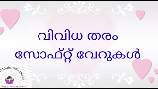 വിവിധ തരം സോഫ്റ്റ വേറുകൾ Types of software