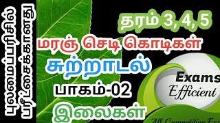 மரஞ் செடி கொடிகள்|| சுற்றாடல்|| புலமைப்பரிசில் பரீட்சைக்கானது|| Exams Efficient