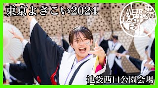 【公式】　東海大学響　『結晴』　東京よさこい2024　池袋西口公園会場