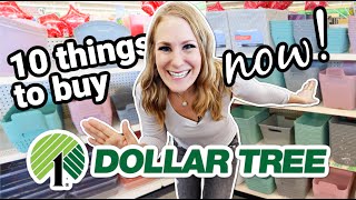 Dollar Tree Secret Scores you SHOULD buy right NOW! 😱ORGANIZE YOUR ENTIRE HOME (don't miss!)