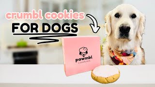 Crumbl Cookie Recipe FOR DOGS | Homemade Dog Crumbl Cookie Dog Treats