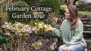 February Cottage Garden - Colourful Hellebores, Snowdrops, Runner Ducks \u0026 Willow Weaving