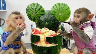 Bim Bim harvests watermelon to make watermelon yogurt for baby monkey Obi