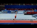 WILLERTON Kristof (GBR) - 2017 Trampoline Worlds, Sofia (BUL) - Qualification Tumbling Routine 1