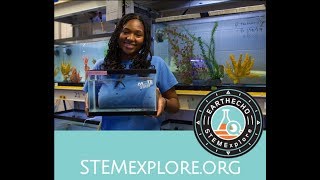 STEMExplore Virtual Career Connection - Aquarium Biology: It’s Fin-tastic!